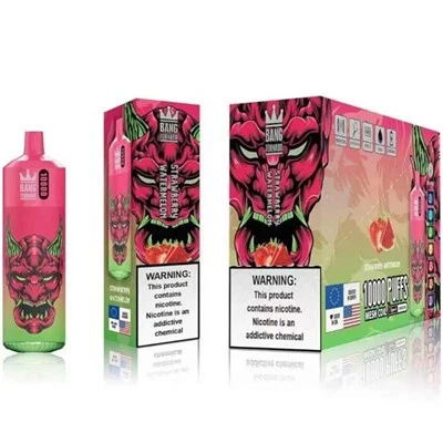 Kako djeluje nikotinska isporuka Bang King Vapea?